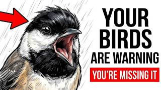 What Your Birds Are Warning You About — And You're Missing It