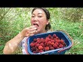 媳婦帶孩子去摘楊梅，大姑說了啥，媳婦笑得好尷尬 | Take three children to pick bayberries, the children are so happy