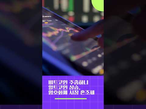 240823비트야짤막뉴스 #코인선물거래 #코인선물거래소 #비트코인선물