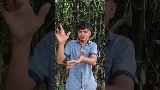 #shuna @#amra biya pore bascha tacha nimu na😛😤 #comedy #video