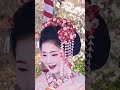 梅花祭野点大茶湯 可愛い舞妓さん