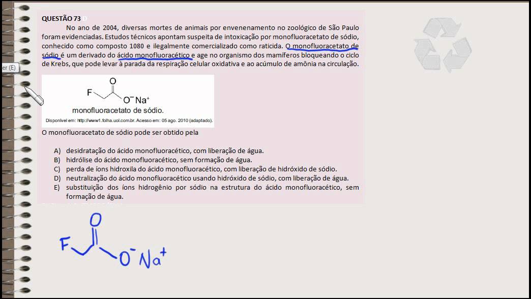 Enem 2010 O Chat E Sua Linguagem Virtual
