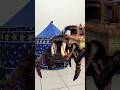 running all size crabplane sirenhead car bus eater lighthouse team big city garr's mod ! choose1
