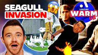 SEAGULL INVASION Chaos at AAMI Park + Georgievski Returns! | Warm Up Ep 25