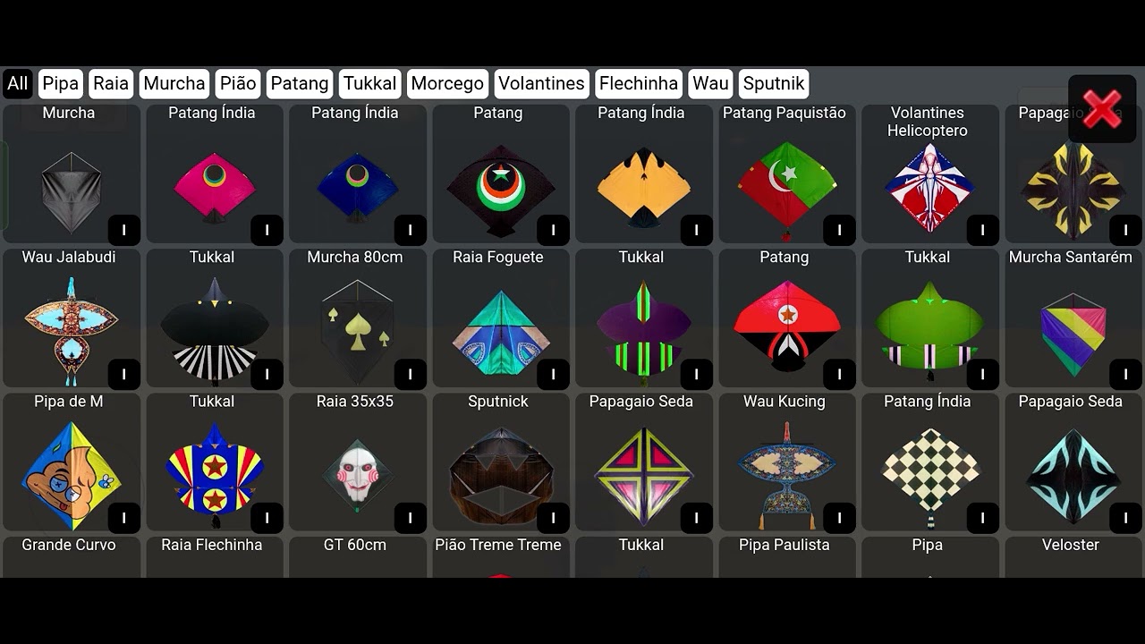 INDIA kite vs pipa kite🪁 