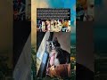 The 90's Seattle Music Scene Was a Community