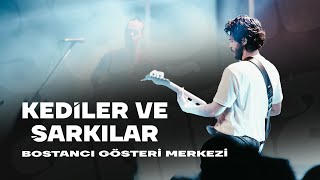 YAŞLI AMCA - Kediler ve Şarkılar | (Canlı Performans - BGM 2023)  Resimi