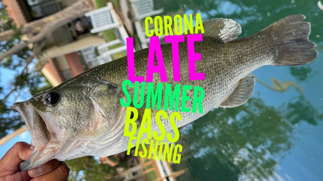 Corona Private Lake – Late Summer Bass Fishing