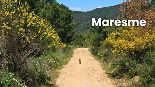 Silent Hiking on the Spanish Coast (Sant Pol de Mar, Barcelona)