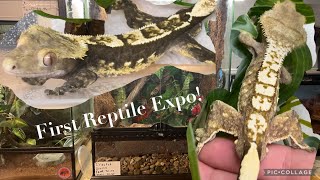 My First Reptile Expo! #reptile #animal