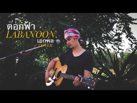 ดอกฟ้า - LABANOON [ เอกพล cover ]
