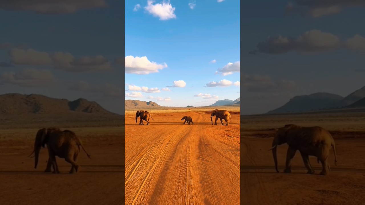 Места в Кении, которые не кажутся реальными! 🇰🇪✨ 