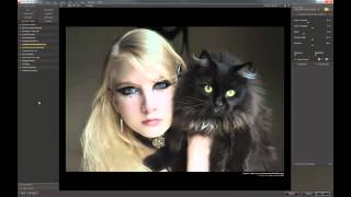 Installing and usind Topaz Adjust 4 and Nik Software in Adobe Photoshop CS6