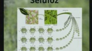 Kainattaki Düzen Herşeyi Allahın Yarattığını Gösteriyor