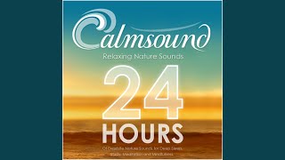 Rain Sounds: Heavy Summertime Downpour