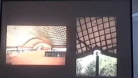 Frei Otto - The Work of Frei Otto: Architecture and Natural Sciences