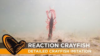 Reaction Crayfish - Detailed Crayfish imitation The Perfect Crayfish Imitation