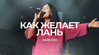 Как желает лань | Аня Басанова | ЛАЙВ 2025 | Слово жизни Music