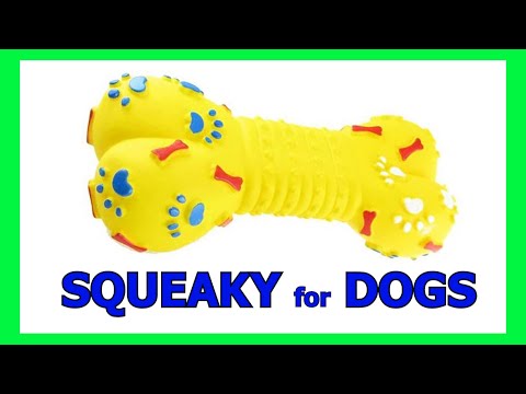 dog squeaky toy sound