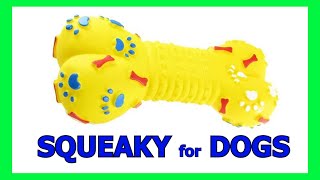Dog Squeaky Toy - Suara yang menarik perhatian anjing #prankyourdog #squeaky