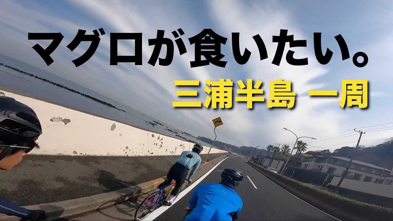 【ロードバイク】マグロを食べたい男達が三浦半島を自転車で徘徊する。