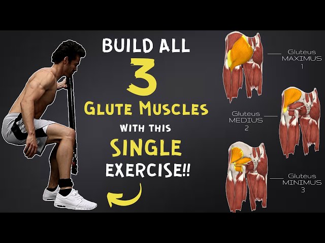 Want Better Glutes..? HIT ALL 3 GLUTEUS MUSCLES with a SINGLE EXERCISE!!  (Maximus, Medius, Minimus) 