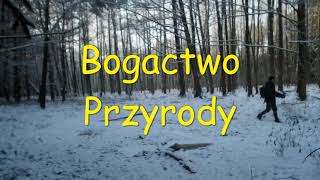 Bogactwo przyrody #1