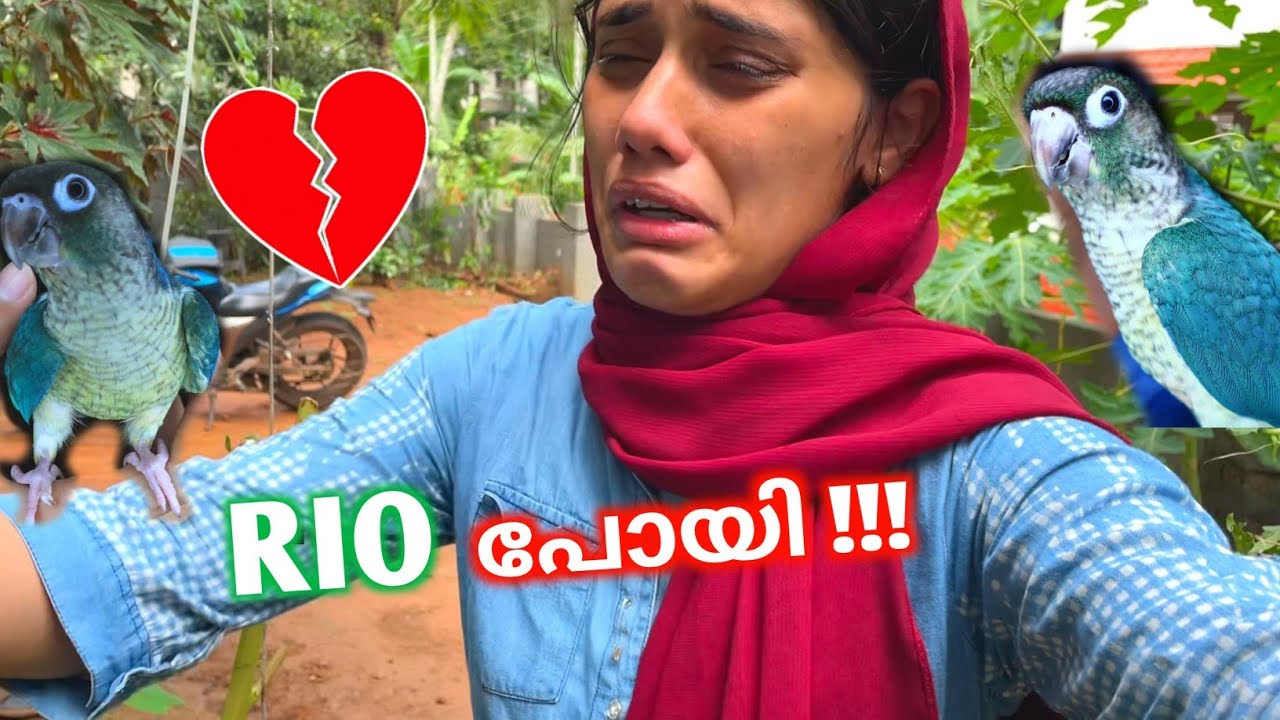 Our RIO is missing 💔 ഞങ്ങളെ വിട്ടു പോയി🥺*SAD DAY 💔