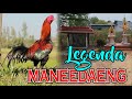 Legenda Ayam Pakhoy Maneedaeng Mr. Manna Chanachai Farm