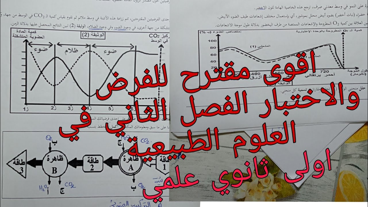 اقوى مقترح للفرض والاختبار الفصل الثاني في العلوم الطبيعية للسنة الاولى ثانوي علمي