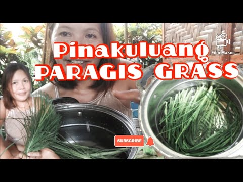 PINAKULOANG PARAGIS || WIRE GRASS @Jewel Gems TV