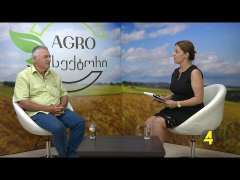 ,,AGROსექტორი\" სტუმარი:  ცოტნე სამადაშვილი  04- 07- 2018