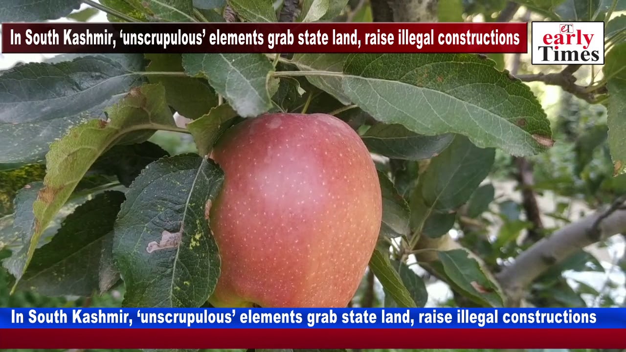 In South Kashmir, ‘unscrupulous’ elements grab state land, raise illegal constructions