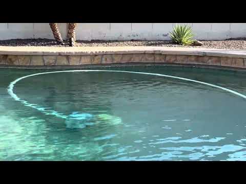 How to Remove Waterline Scum & Algae in Your Pool (Not for Minerals!)