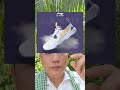 Giày cầu lông