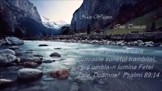 Nicu Wagner -Vei reveni