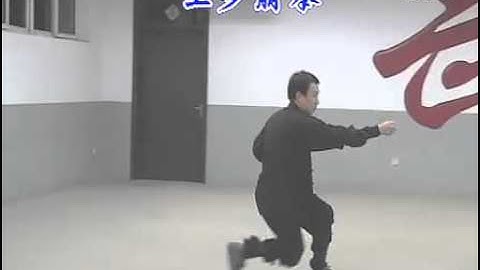 Shang Xing Yi Quan - Wu Xing - Master Liu Jun Feng