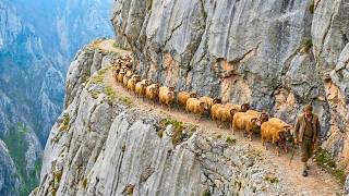 Crna Gora Montenegro | The Most Beautiful Place 90% of Europeans Don’t Know