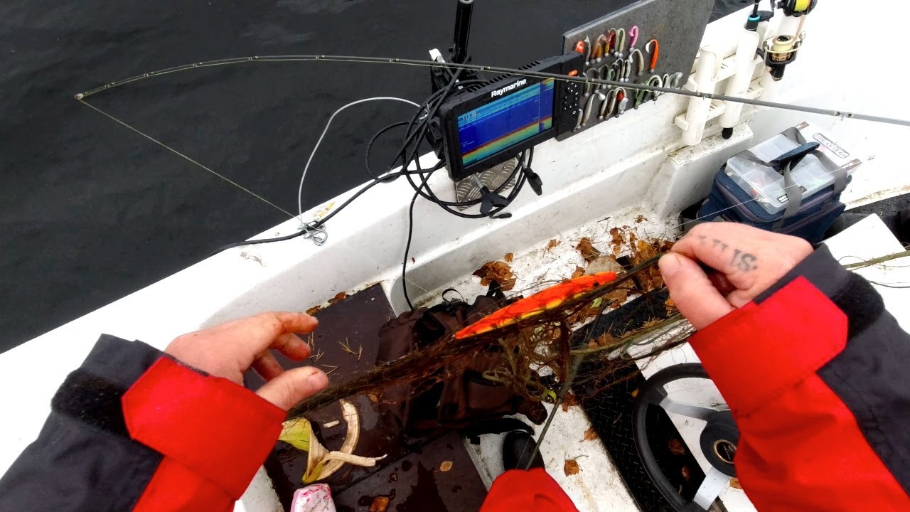 VÄHÄN ERILAISTA SAALISTA - UISTELIJAN PAINAJAINEN - VIEHEITÄ JA KALOJA