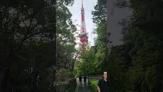 Tokyo Tower Japan #japantouristguide#tourguiding#tourguideservice#japantourism#Tour2025#alttravels