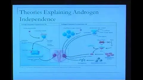 Peter C. Albertsen, MD Chemotherapy in prostate ca...