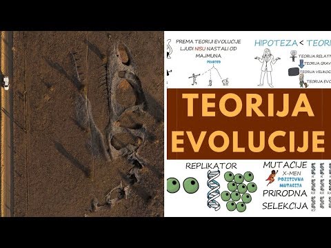 Video: Kako se teorija evolucije primjenjuje na ljudski razvoj?