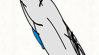 Faces Vs. Scribbles 3