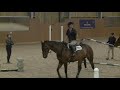 Harry Meade and Laura Collett Masterclass at World Horse Welfare | Part 2 with Q and A