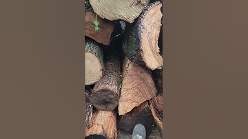 ash load dropped off