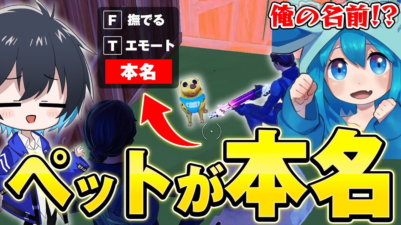 【ドッキリ】ペットの名前が本名ドッキリｗｗ【フォートナイト/Fortnite】