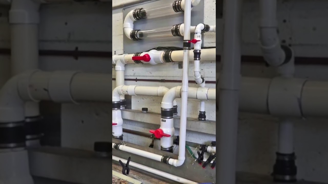 Remove Pee-Pee Machine