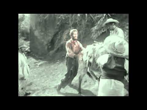 Get away from my burro