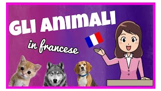 Impariamo gli animali in francese 🇨🇵 : scrittura , pronuncia e genere 🐰🐱🐶 #french #learn screenshot 1