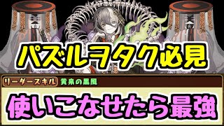 【パズドラ】とんでもないリーダーが現れました。
